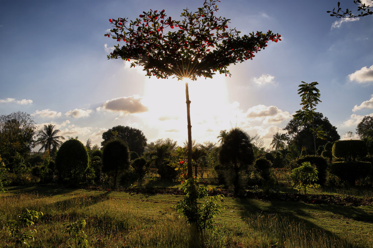 Photo : Igor Rugwiza - UN/MINUSTAH