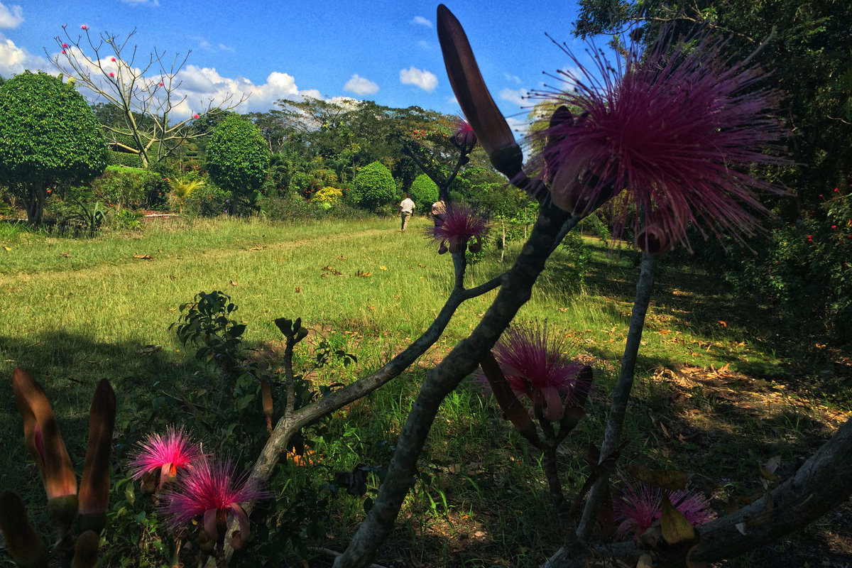 Photo: Marie Yolette B. Daniel - UN/MINUSTAH